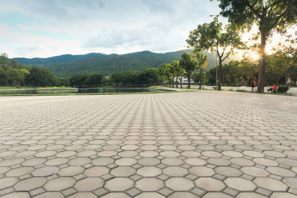 Professional Driveway Pavers in Lakewood Clu, MI
