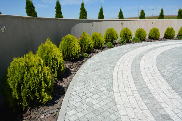 Best Interlocking Driveway Pavers  in Lakewood Clu, MI